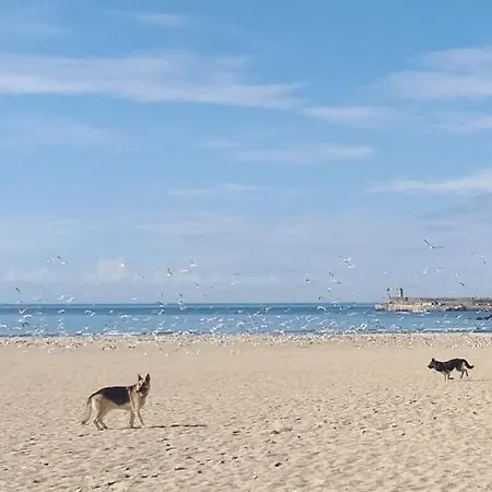Maria Sardinha_as Tres Marias *
